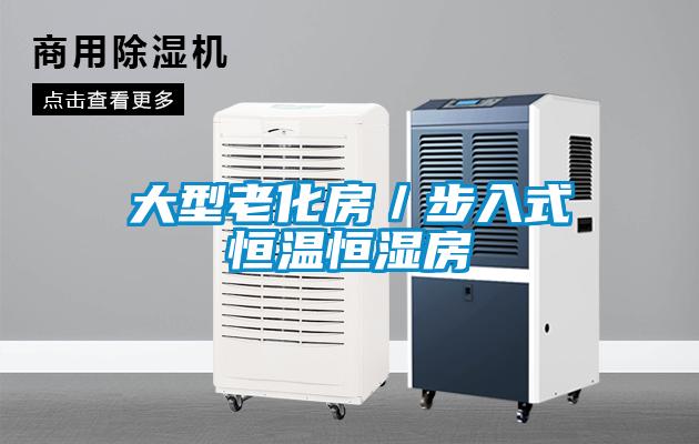 大型老化房/步入式恒溫恒濕房