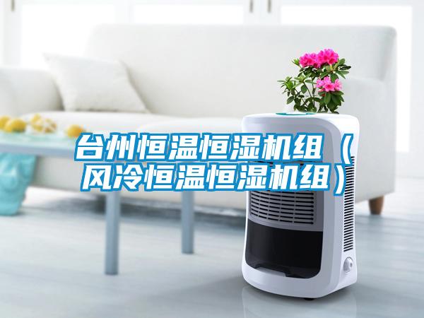 臺州恒溫恒濕機組(風冷恒溫恒濕機組)