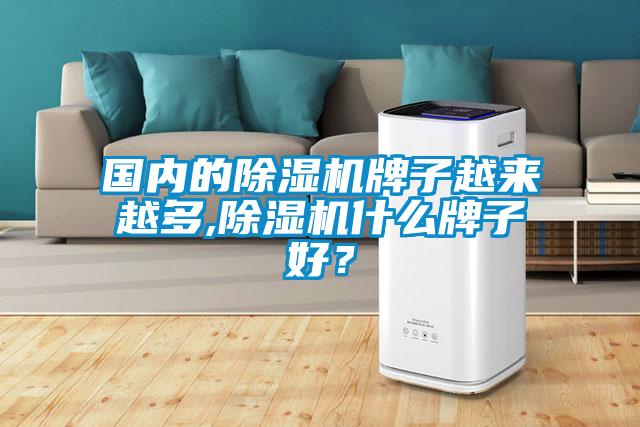 國內的除濕機牌子越來越多,除濕機什么牌子好?