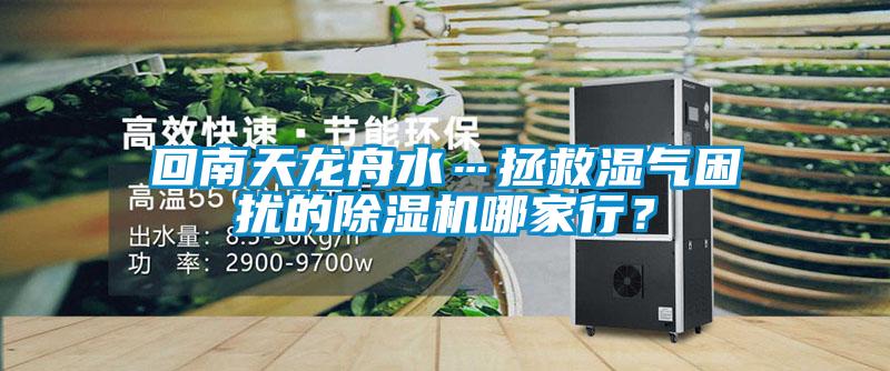 回南天龍舟水…拯救濕氣困擾的除濕機哪家行？