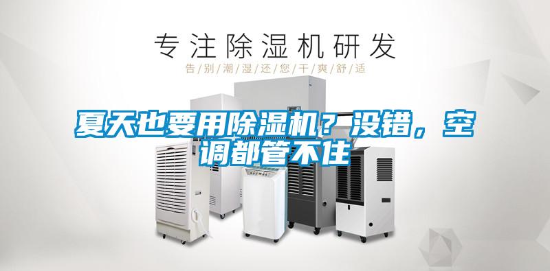 夏天也要用除濕機?沒錯,空調都管不住