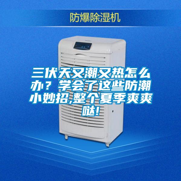 三伏天又潮又熱怎么辦？學會了這些防潮小妙招,整個夏季爽爽噠!