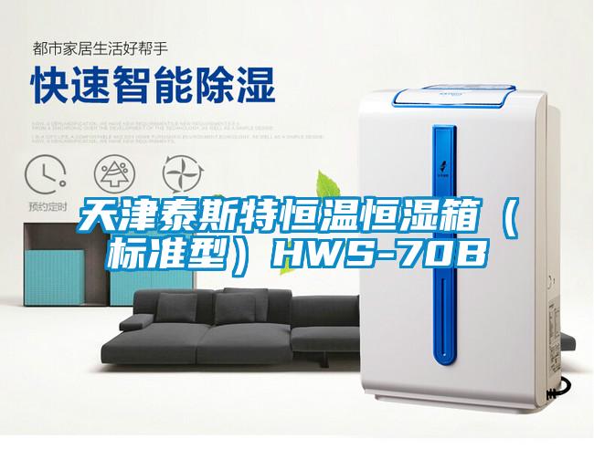 天津泰斯特恒溫恒濕箱(標準型)HWS-70B