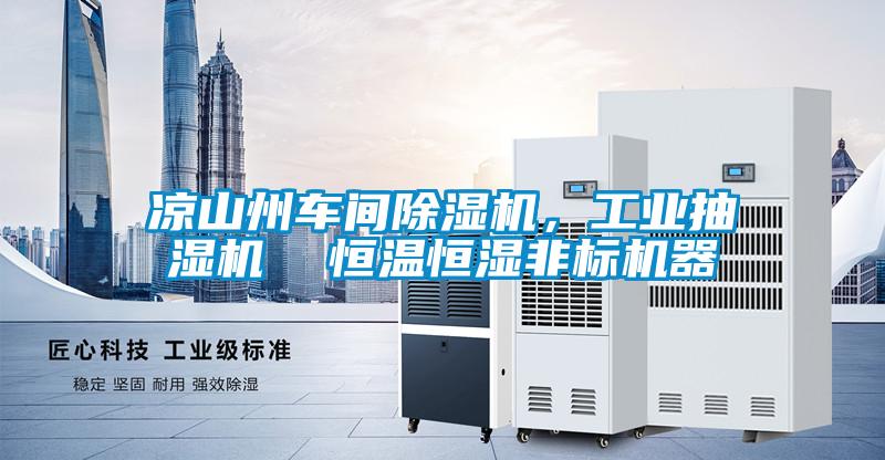 涼山州車(chē)間除濕機(jī),工業(yè)抽濕機(jī) 恒溫恒濕非標(biāo)機(jī)器
