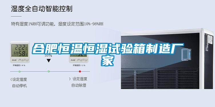 合肥恒溫恒濕試驗(yàn)箱制造廠家