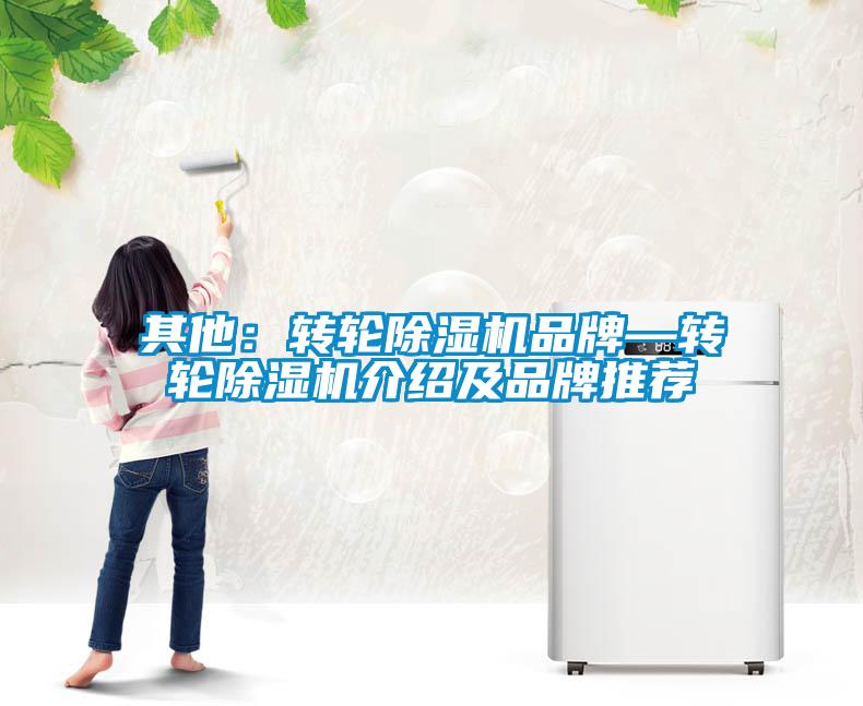 其他:轉輪除濕機品牌—轉輪除濕機介紹及品牌推薦