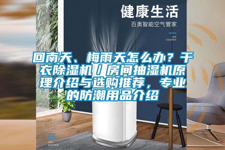 回南天、梅雨天怎么辦？干衣除濕機／房間抽濕機原理介紹與選購推薦，專業的防潮用品介紹