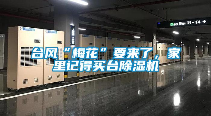 臺風“梅花”要來了，家里記得買臺除濕機