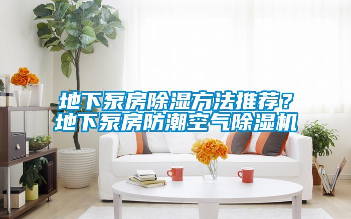 地下泵房除濕方法推薦？地下泵房防潮空氣除濕機(jī)