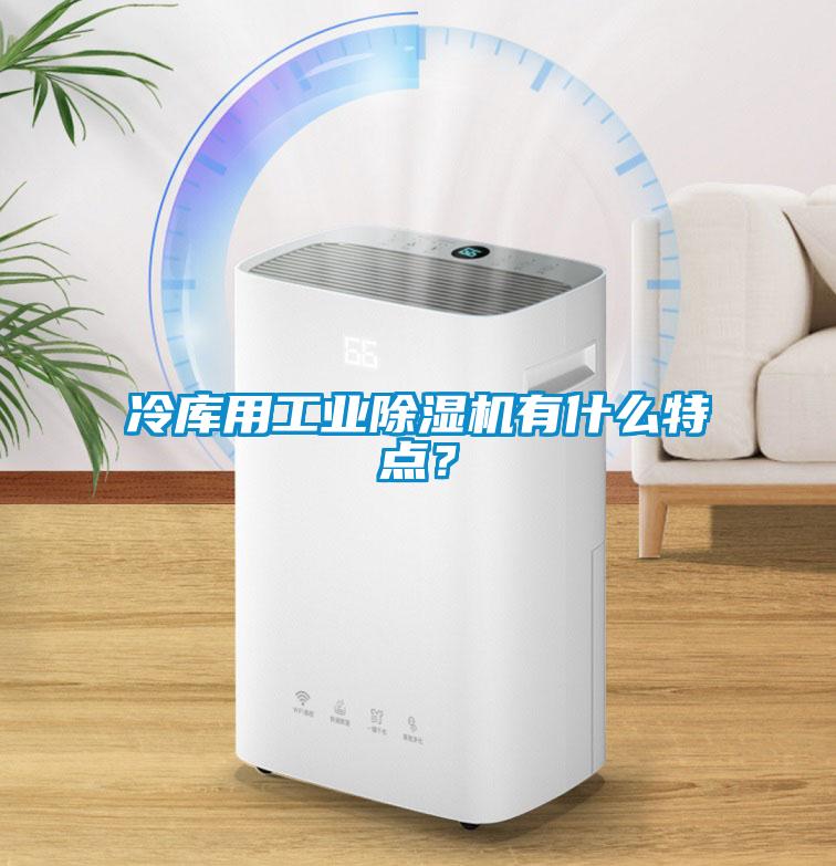 冷庫用工業除濕機有什么特點?
