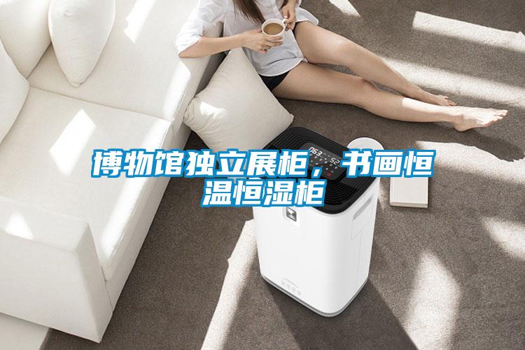 博物館獨立展柜,書畫恒溫恒濕柜