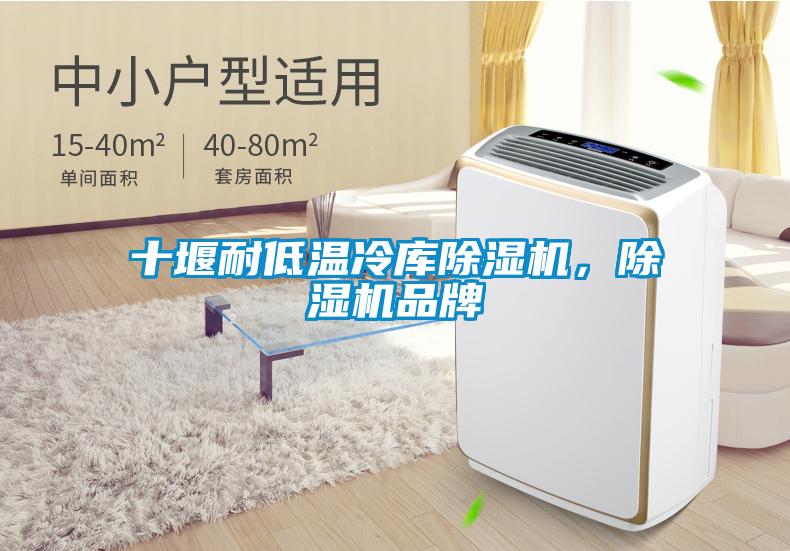 十堰耐低溫冷庫除濕機,除濕機品牌