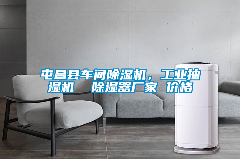 屯昌縣車間除濕機,工業抽濕機 除濕器廠家 價格