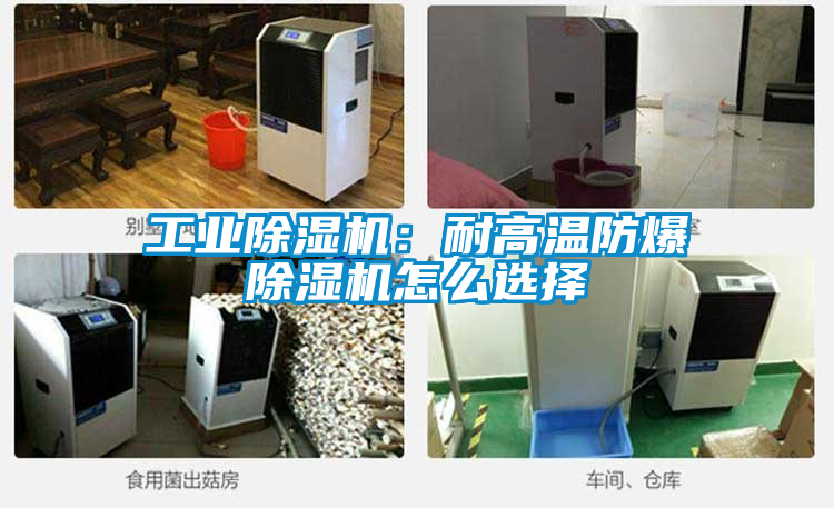 工業(yè)除濕機(jī):耐高溫防爆除濕機(jī)怎么選擇