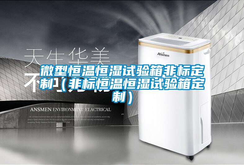 微型恒溫恒濕試驗箱非標定制(非標恒溫恒濕試驗箱定制)