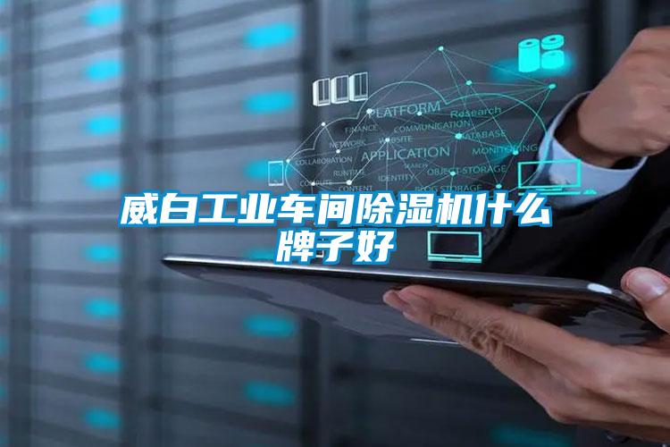 威白工業(yè)車(chē)間除濕機(jī)什么牌子好