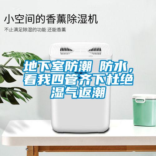 地下室防潮≠防水,看我四管齊下杜絕濕氣返潮