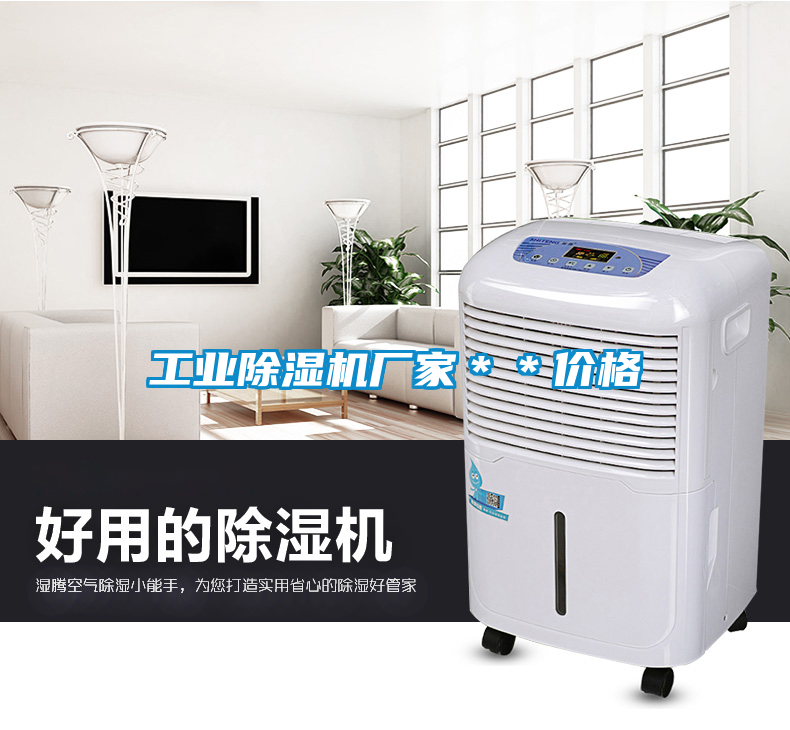 工業(yè)除濕機(jī)廠家**價(jià)格