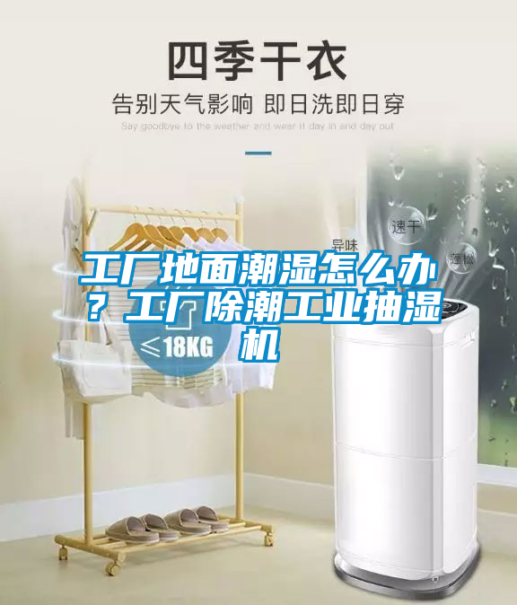 工廠地面潮濕怎么辦?工廠除潮工業抽濕機