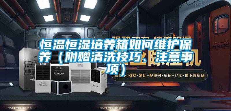 恒溫恒濕培養(yǎng)箱如何維護(hù)保養(yǎng)（附贈(zèng)清洗技巧、注意事項(xiàng)）