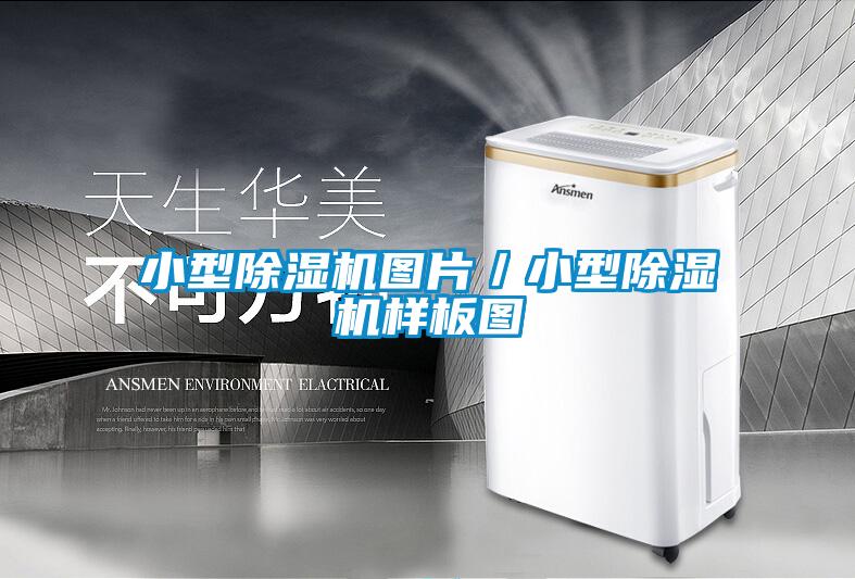 小型除濕機圖片／小型除濕機樣板圖