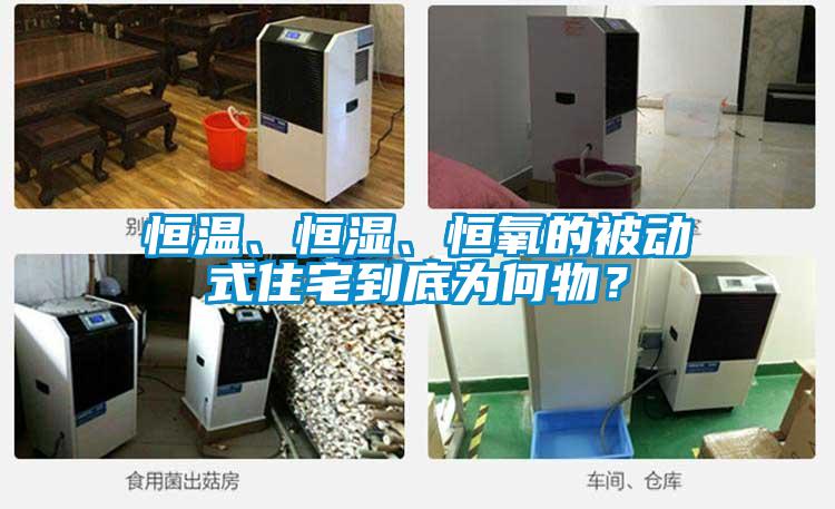 恒溫、恒濕、恒氧的被動式住宅到底為何物?