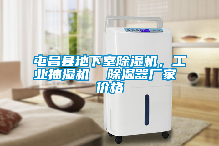 屯昌縣地下室除濕機，工業抽濕機  除濕器廠家 價格