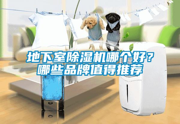 地下室除濕機哪個好?哪些品牌值得推薦