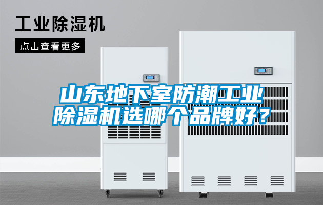 山東地下室防潮工業(yè)除濕機選哪個品牌好？