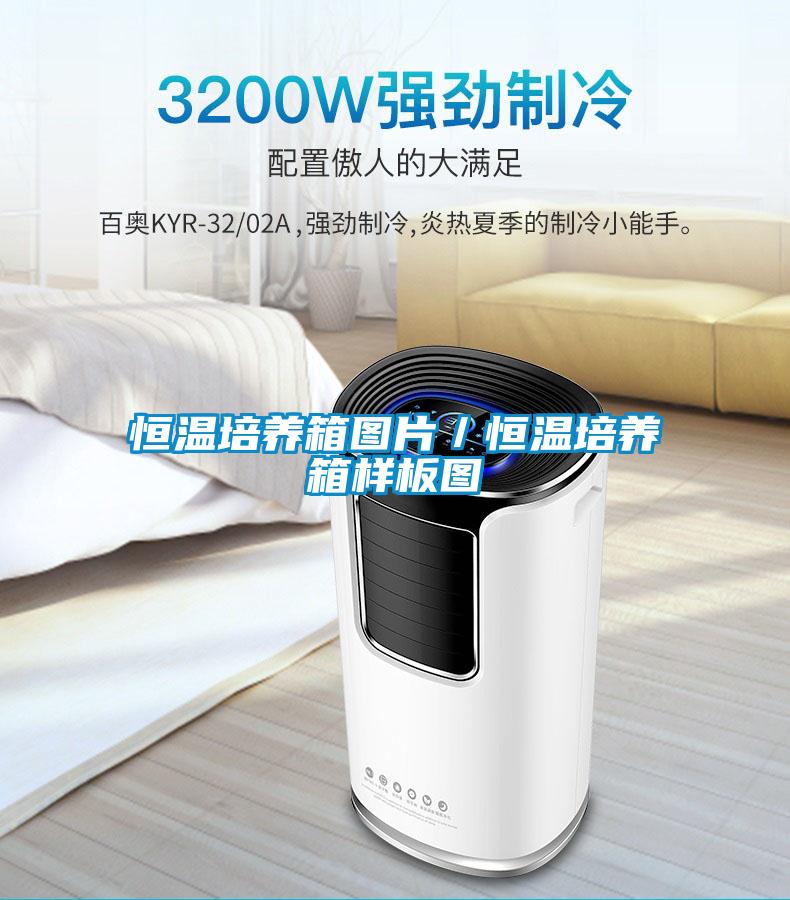 恒溫培養(yǎng)箱圖片/恒溫培養(yǎng)箱樣板圖