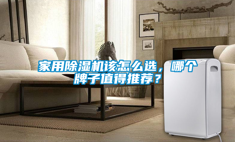 家用除濕機該怎么選,哪個牌子值得推薦?