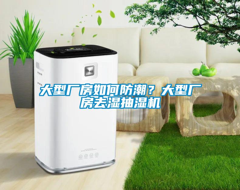 大型廠房如何防潮？大型廠房去濕抽濕機