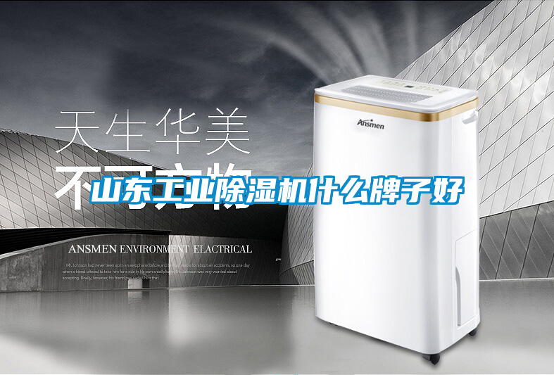 山東工業除濕機什么牌子好