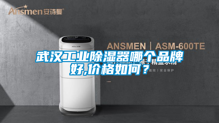 武漢工業除濕器哪個品牌好,價格如何?