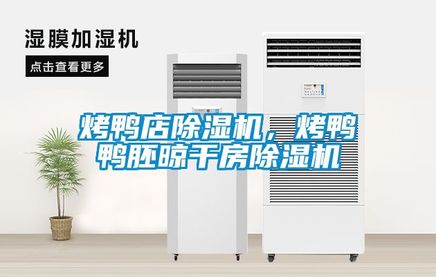 烤鴨店除濕機,烤鴨鴨胚晾干房除濕機