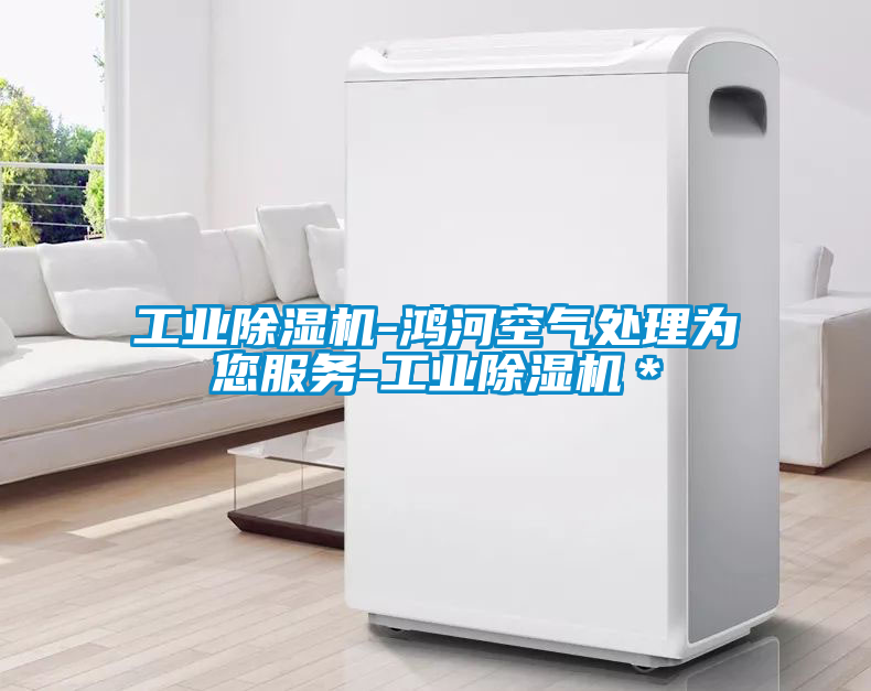 工業除濕機-鴻河空氣處理為您服務-工業除濕機*