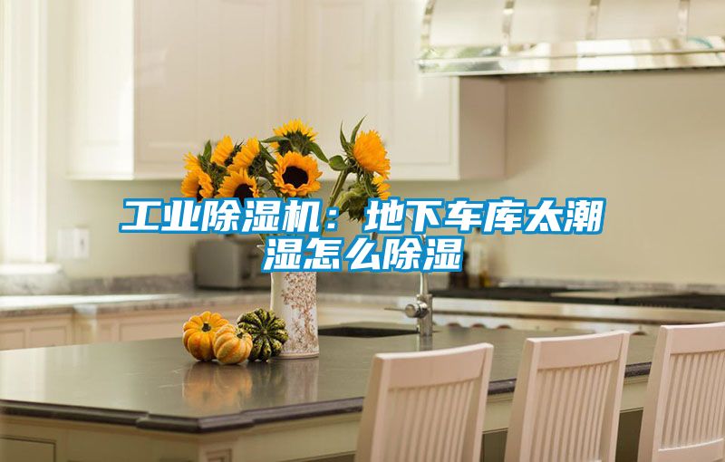 工業(yè)除濕機(jī):地下車庫(kù)太潮濕怎么除濕