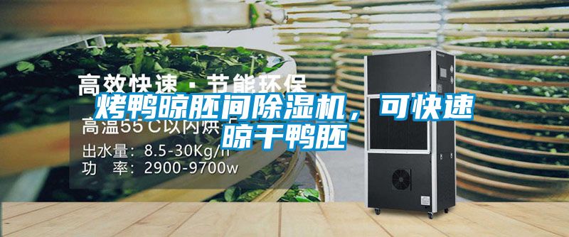 烤鴨晾胚間除濕機,可快速晾干鴨胚
