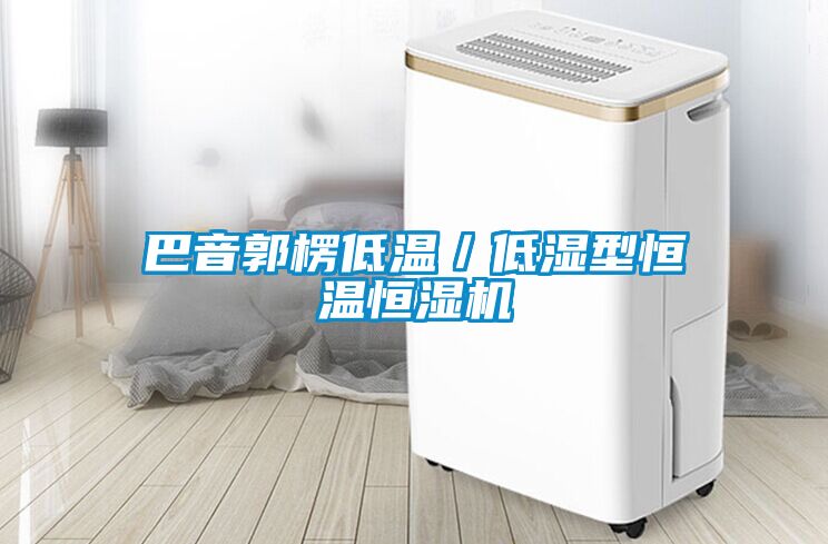 巴音郭楞低溫/低濕型恒溫恒濕機(jī)