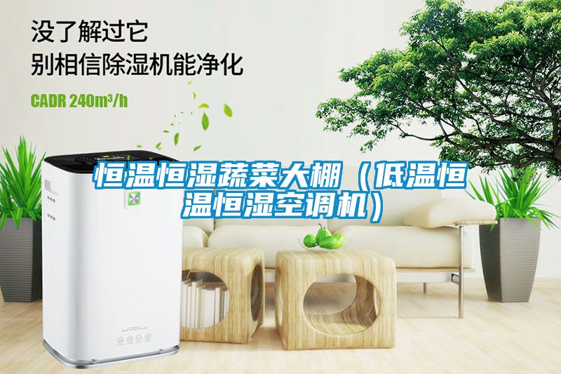 恒溫恒濕蔬菜大棚(低溫恒溫恒濕空調機)
