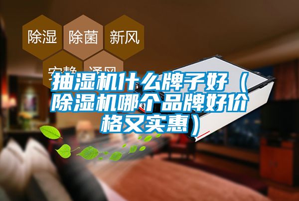 抽濕機什么牌子好(除濕機哪個品牌好價格又實惠)