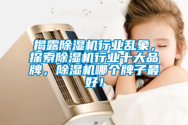 揭露除濕機行業亂象,探索除濕機行業十大品牌,除濕機哪個牌子最好!