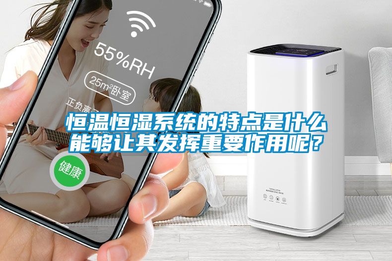 恒溫恒濕系統的特點是什么能夠讓其發揮重要作用呢?