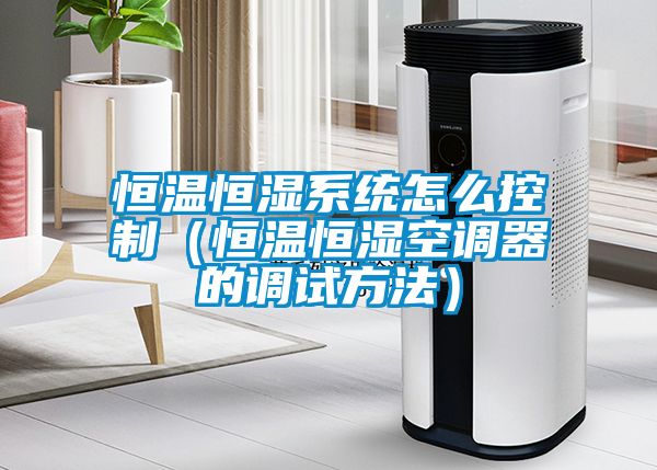 恒溫恒濕系統(tǒng)怎么控制(恒溫恒濕空調(diào)器的調(diào)試方法)
