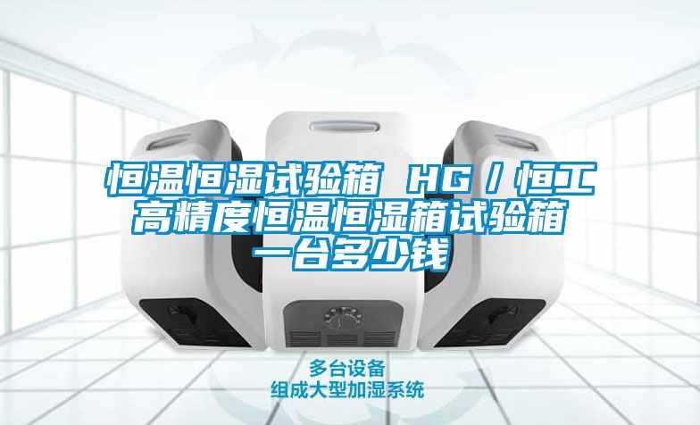恒溫恒濕試驗箱 HG/恒工 高精度恒溫恒濕箱試驗箱 一臺多少錢