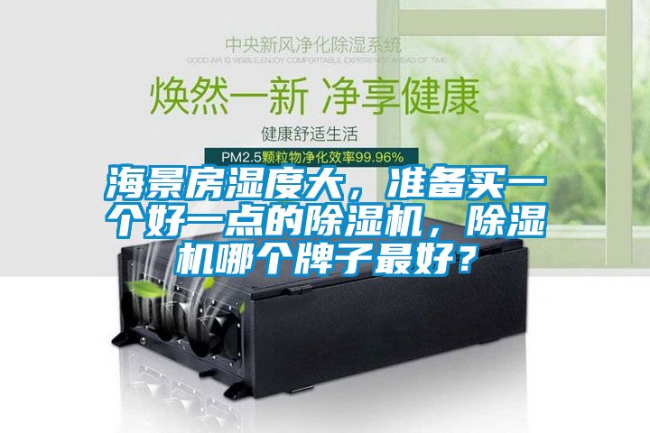 海景房濕度大,準備買一個好一點的除濕機,除濕機哪個牌子最好?