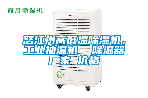 怒江州高低溫除濕機，工業(yè)抽濕機  除濕器廠家 價格