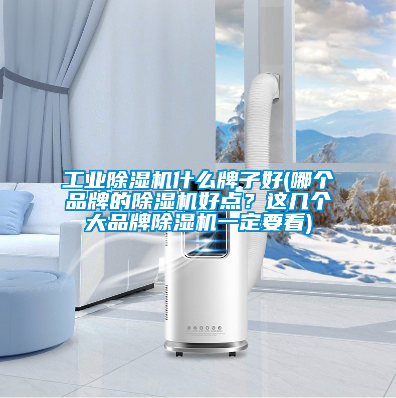 工業除濕機什么牌子好(哪個品牌的除濕機好點？這幾個大品牌除濕機一定要看)