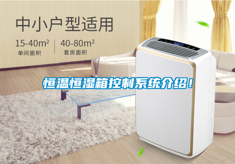 恒溫恒濕箱控制系統介紹！