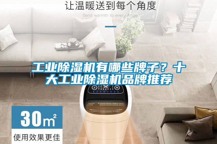 工業除濕機有哪些牌子？十大工業除濕機品牌推薦